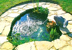 Натуральный бассейн